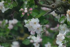 Fuji50230 Testaufnahme