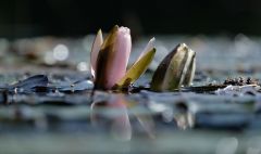 post 17609 0 01413900 1403466314