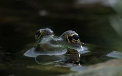 10312039 797309233615160 1179038975410056198 N