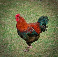 27360086658 4d377818da O edit