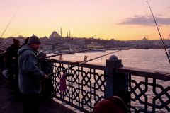 Galatabrücke Sardinen Fischer