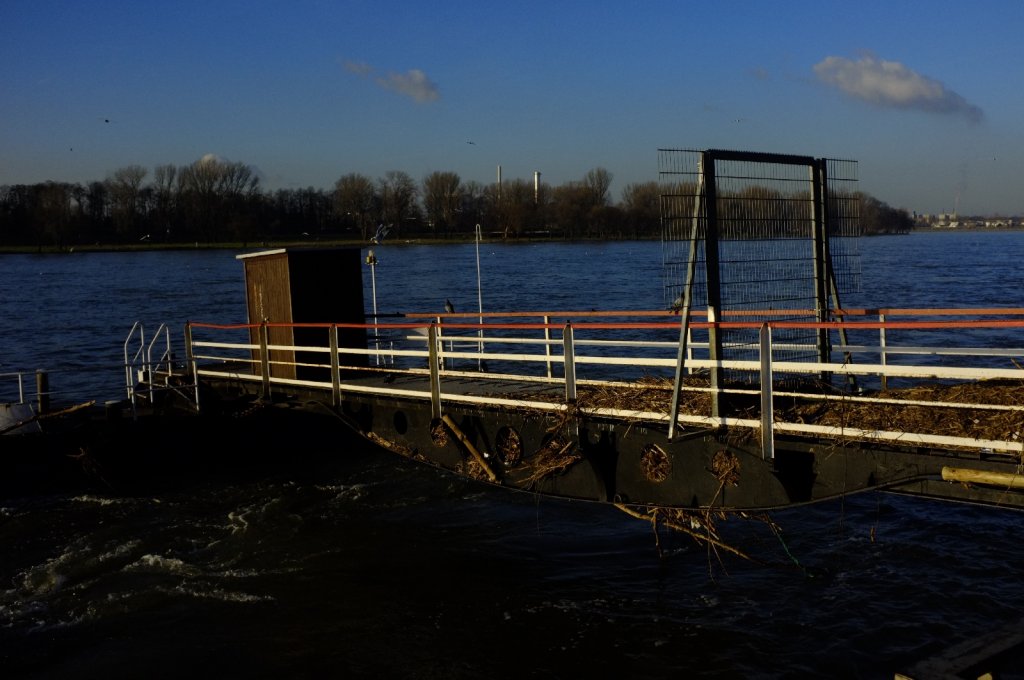 Ein Monat mit der "neuen" (X100)