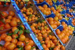 Orangen