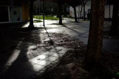 Sonne nach dem Regen