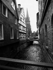 03.3.12 Fuji X10 010 DxOFP.jpg2