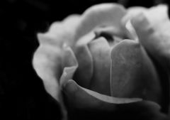 user1050 pic46547 1340015442