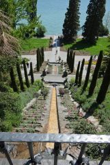 Mainauimpressionen 2220