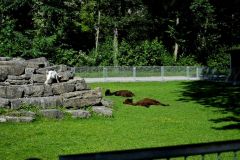 Mainauimpressionen 2283