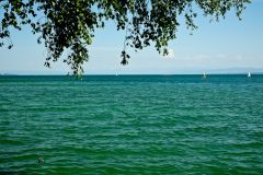 Mainauimpressionen 2284