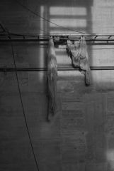 X-Pro1/35mm > out of cam
5,6 500