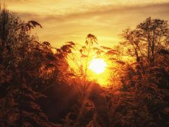 X10 Test2