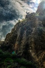 Der Hirschsprung im Südschwarzwald; aus dem fahrenden Auto aufgenommen, nachdem ich die Strecke direkt 2x abgefahren bin; trotzdem nicht zum nachahmen und durchweg unvernünftig. Das RAF wurde mit PS nachbearbeitet-auch dodge and burn ("pinseln")