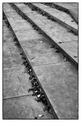 Treppenstufen - Laub