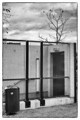 Baum - Himmel - Tür