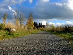 comp DSCF0111 bearbeitet