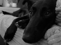 comp DSCF0199 bearbeitet