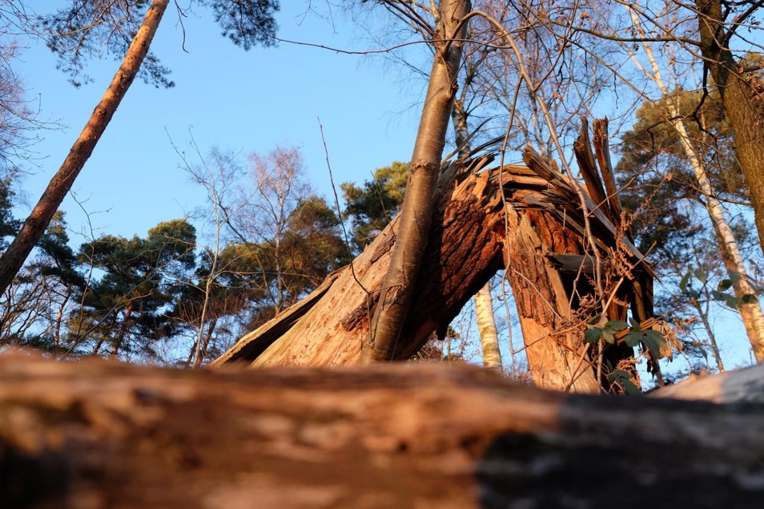 post-19196-0-62187600-1421702085_thumb.j