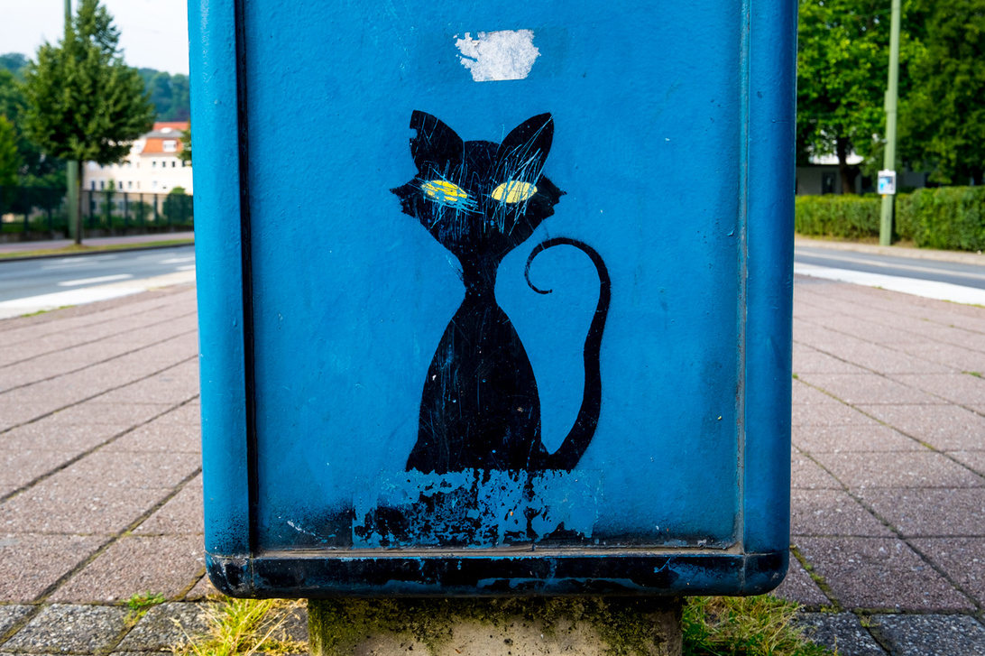 post-19146-0-73625400-1479849557_thumb.j