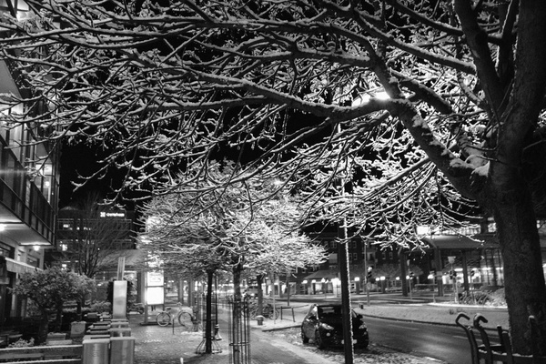 Norderstedt im Winter 1.jpg