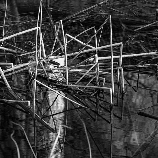 DSCF-1859 q sw__.jpg