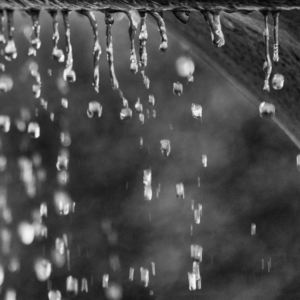 DSCF5050 leb q b sw_.jpg