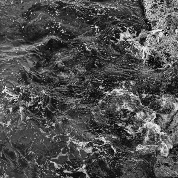 DSCF5450 leb q sw__.jpg