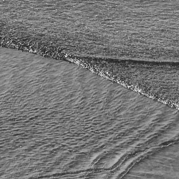 DSCF5266 b fett q sw_.jpg