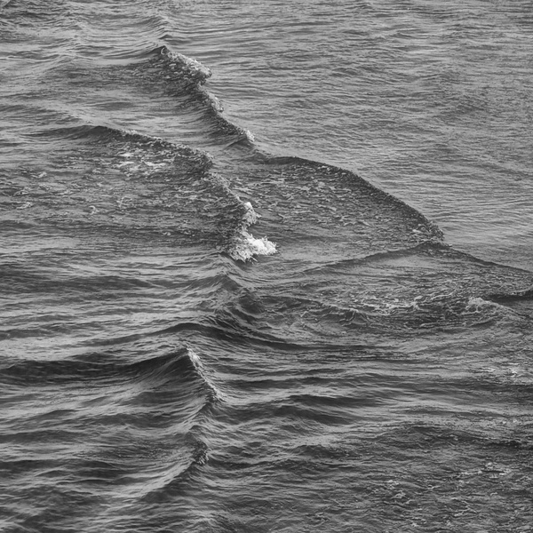 DSCF5460 b leb q sw_.jpg