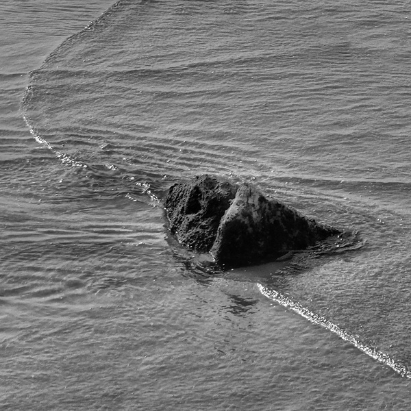 DSCF5268 c fett q sw__.jpg