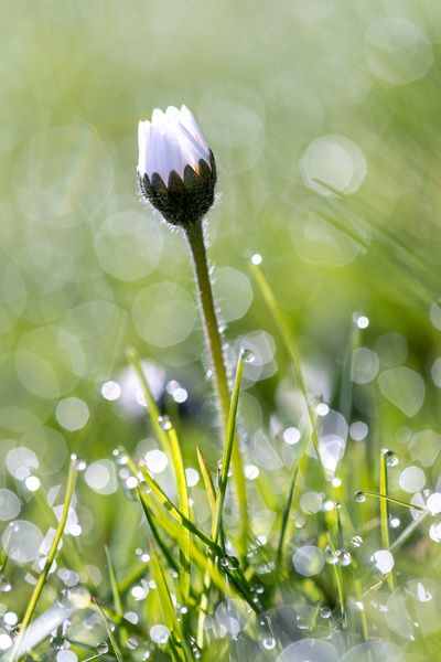 canon_180_april019_i