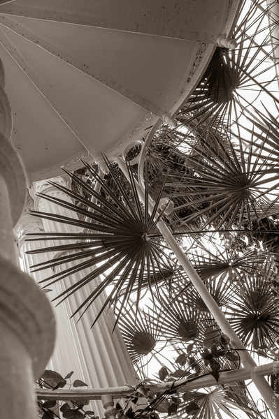 Palmenhaus-5.jpg