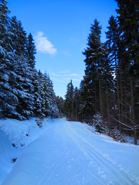 Winterlandschaft