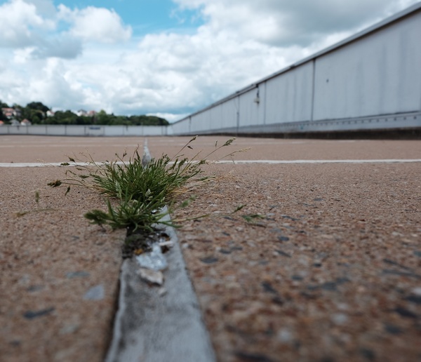 Grün auf dem Parkdeck