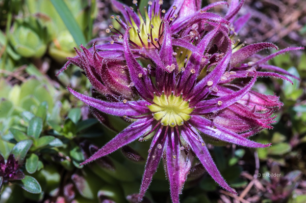 001_DSF3310_Foto_tt-bilder