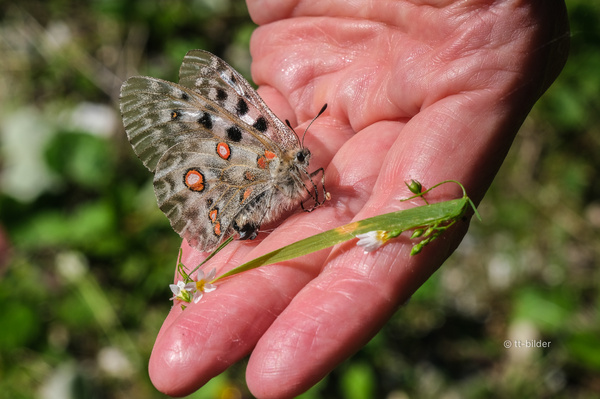 003_DSF4237_Foto_tt-bilder