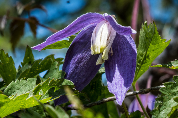 004_DSF3456_Foto_tt-bilder