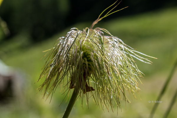 026_DSF4116_Foto_tt-bilder