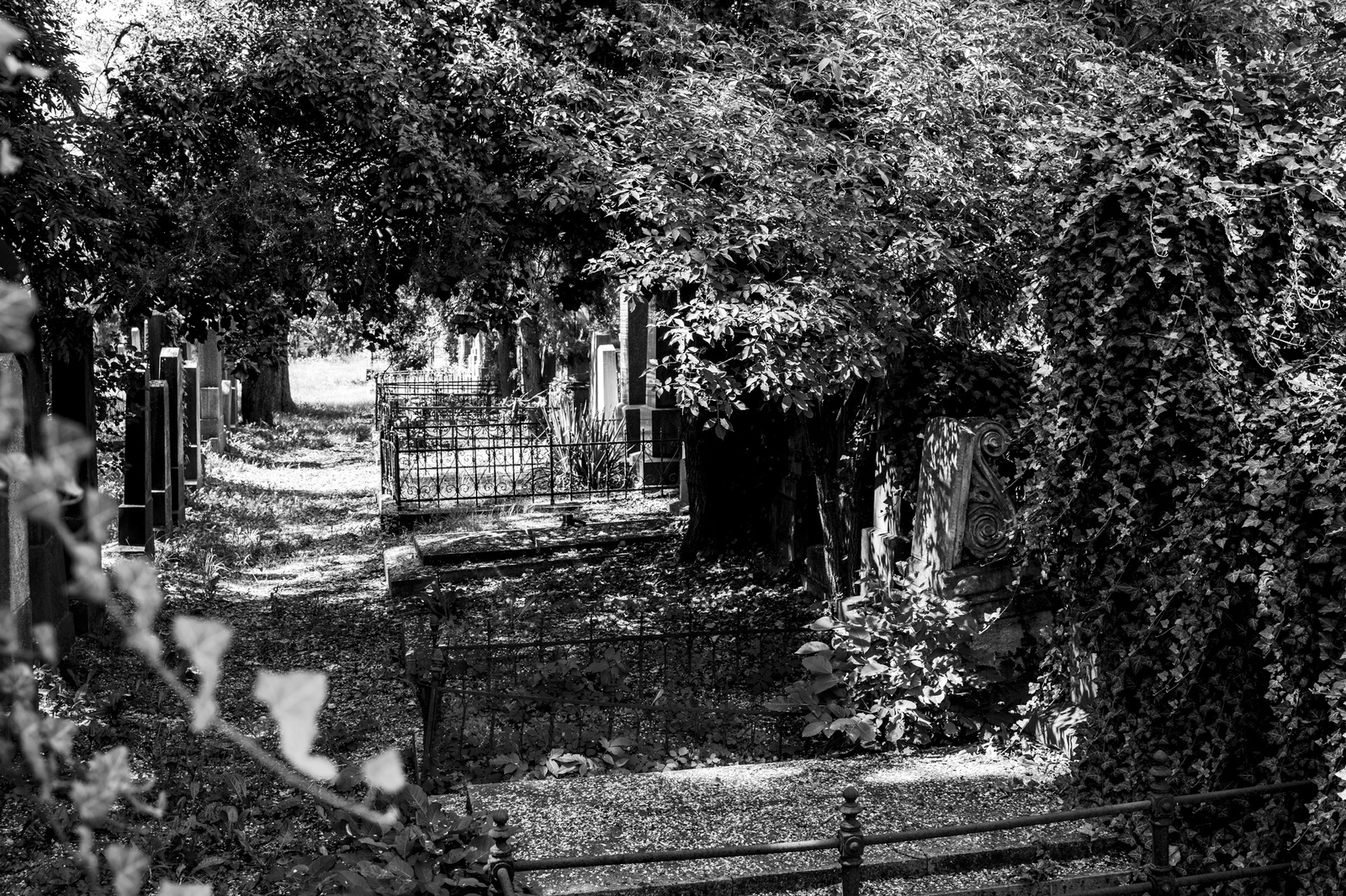 Jüdischer Friedhof Krems