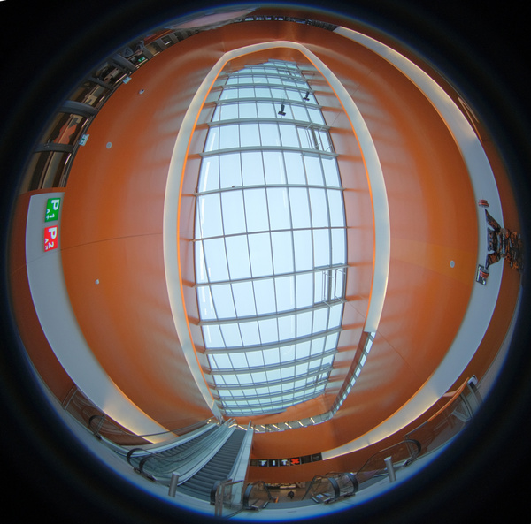 Der Blick nach "oben"!