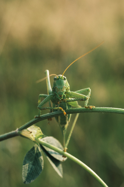 108B5C6D-EEA7-42BD-AFBA-D5A49429A15D