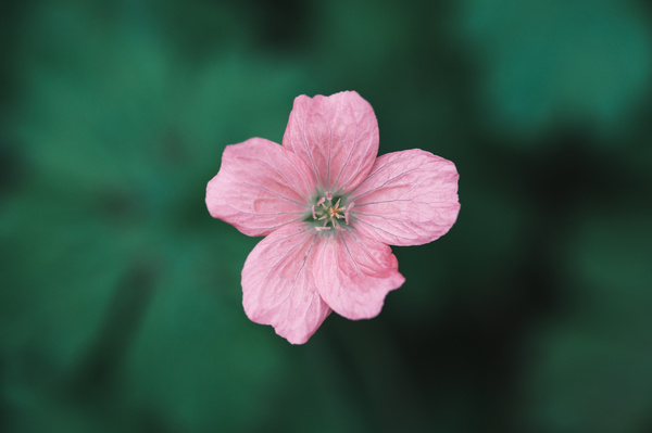 2050F093-7F22-4ECB-A99F-277E050197FC