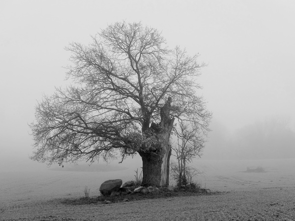 DSCF8215xa_Bildgröße ändern.jpg