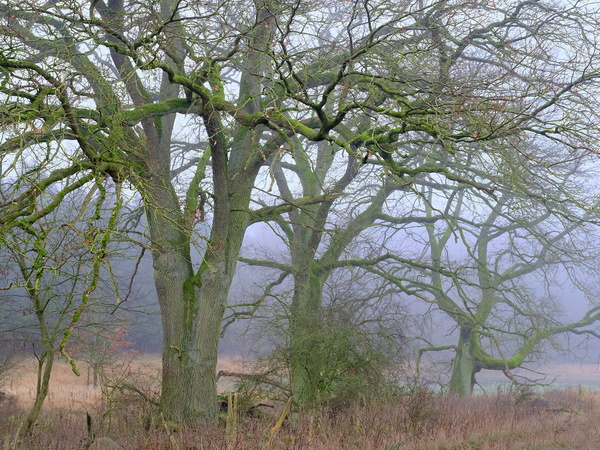 DSCF8340xa_Bildgröße ändern.jpg