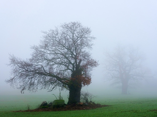 DSCF8248_Bildgröße ändern.JPG