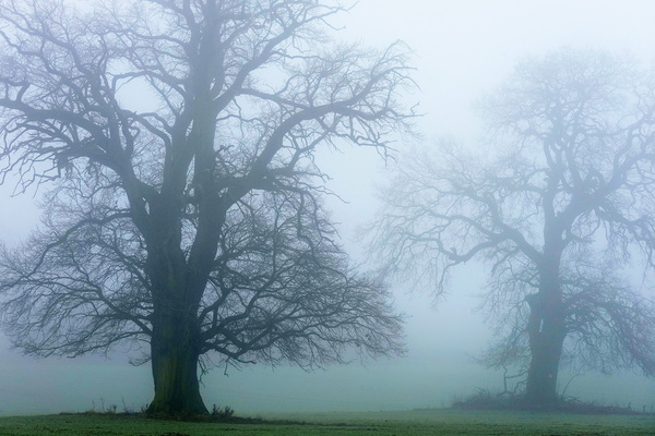 DSCF8243xc_Bildgröße ändern.jpg