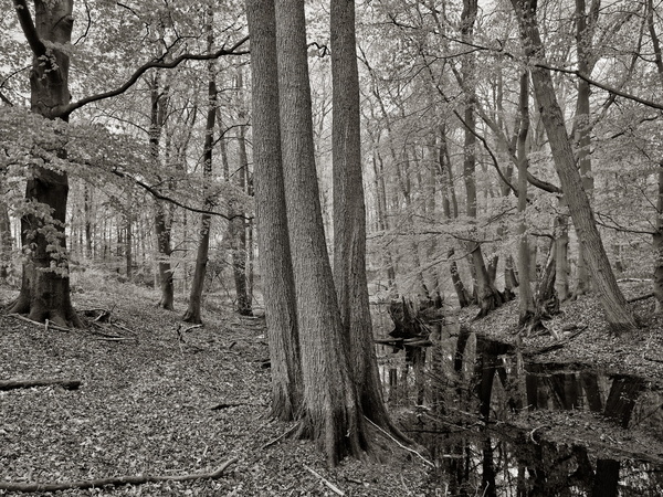 DSCF8795_Bildgröße ändern.JPG