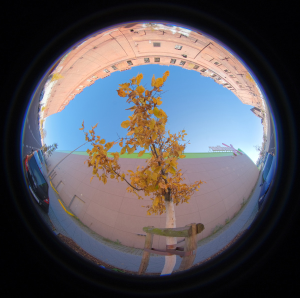 Herbst