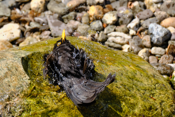 DSCF8308.jpg
