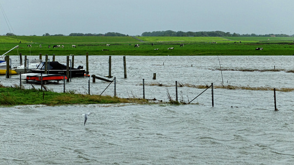 Land_unter_DSCF3398Pxxl.jpg