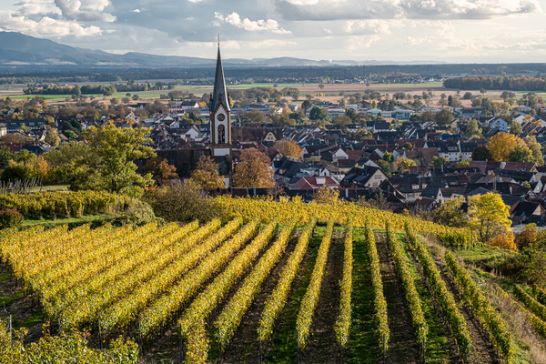 Ihringen im Kaiserstuhl und die Rheinebene